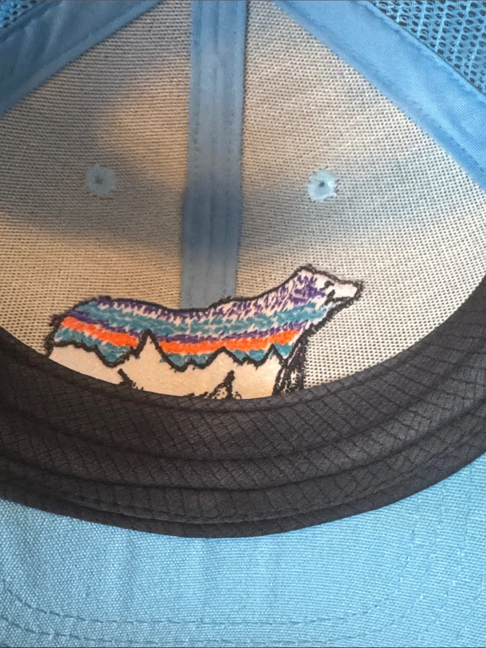 Patagonia Light Blue and Cream Kids Trucker Hat with Striped Bear Patch